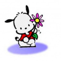 /album/pochacco/a1-dvd-pal-jpg2/